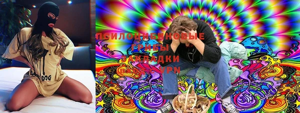сатива Балахна
