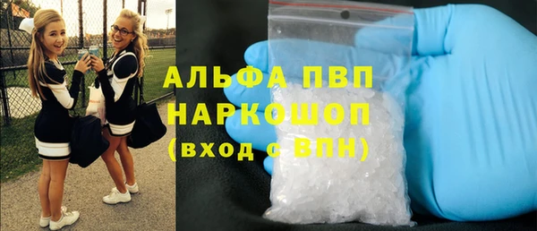 сатива Балахна