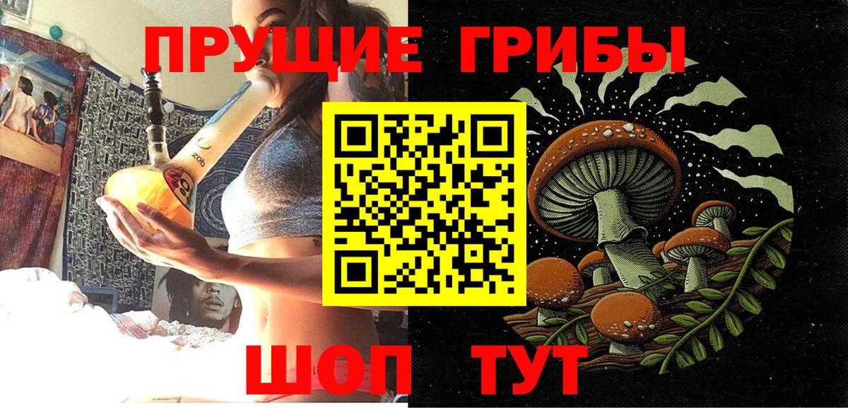 Псилоцибиновые грибы Cubensis Белогорск
