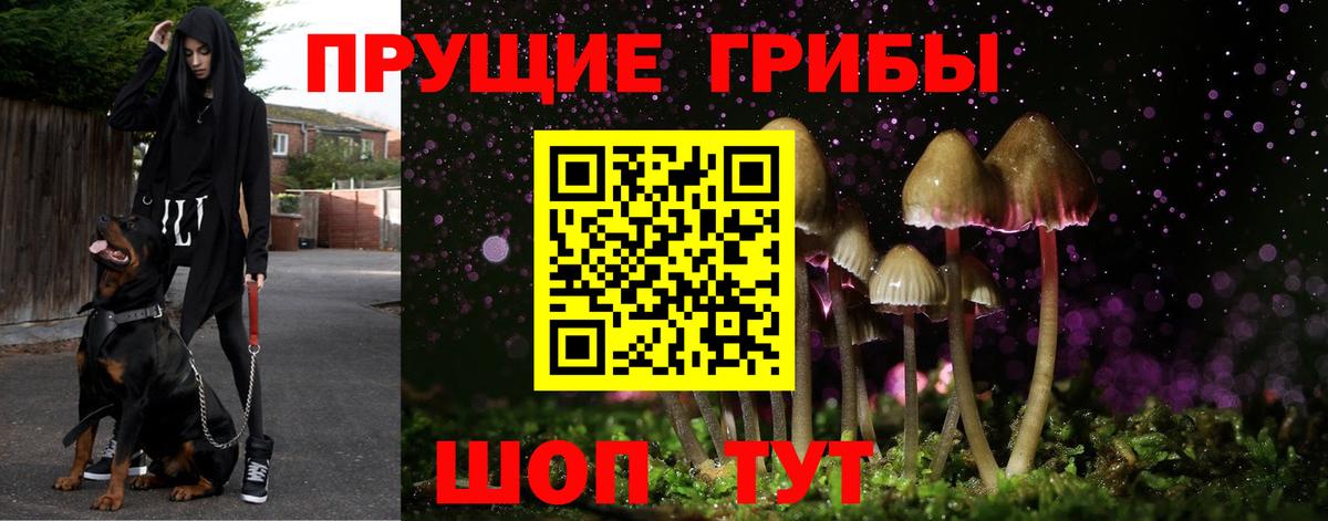 Белогорск  Псилоцибиновые грибы ЛСД  Вход с VPN  Галлюциногенные грибы MAGIC MUSHROOMS 
